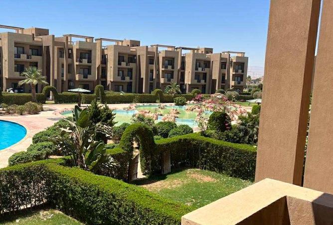 8359574 - Property Image 3