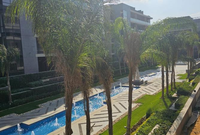 8359778 - Property Image 3