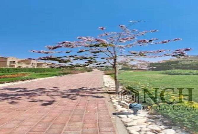 8360235 - Property Image 2