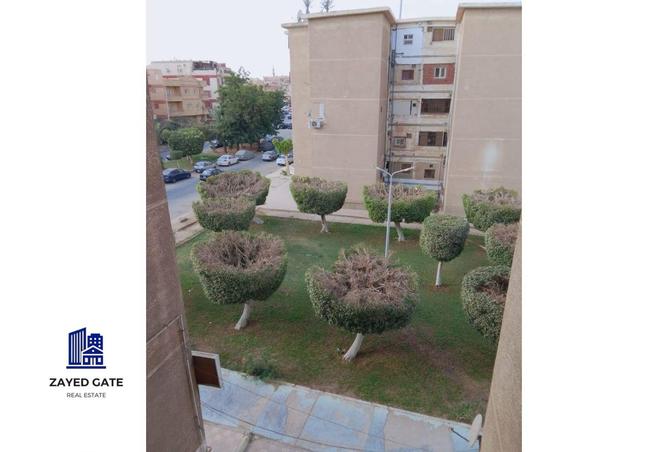 8362010 - Property Image 3