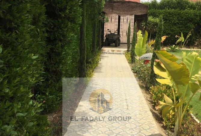 8362474 - صورة العقار 3