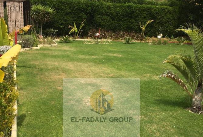 8362474 - صورة العقار 2