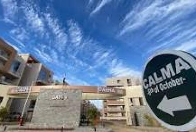 8363174 - Property Image 3