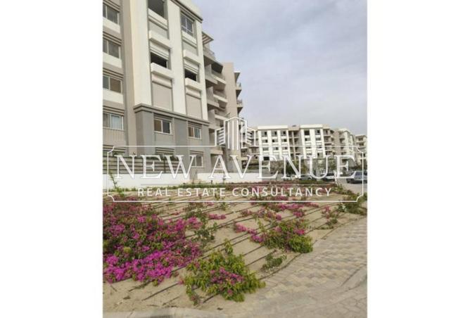 8365200 - صورة العقار 3