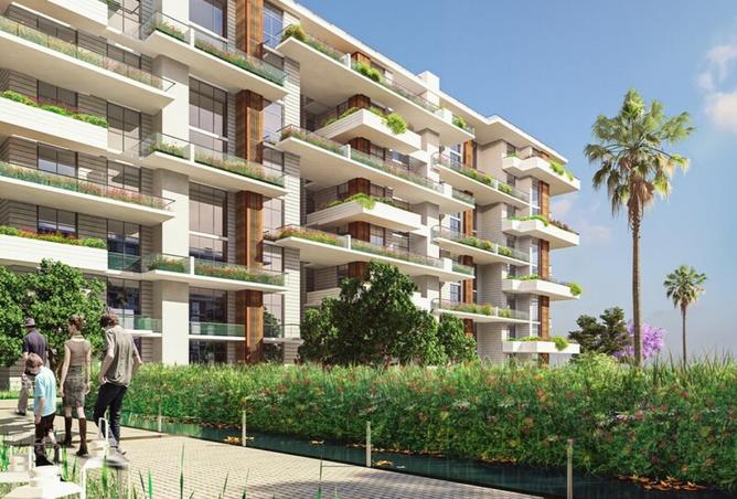 8372929 - Property Image 3