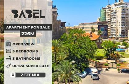Apartment - 3 Bedrooms - 3 Bathrooms for sale in Zezenia - Hay Sharq - Alexandria