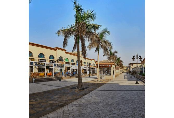 8365175 - Property Image 3