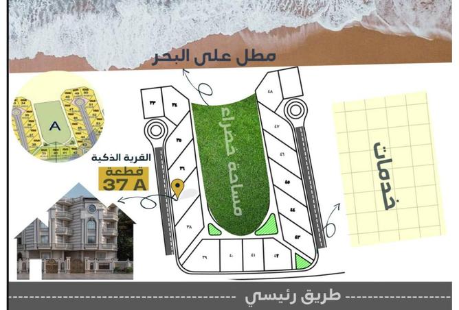 8364554 - Property Image 3