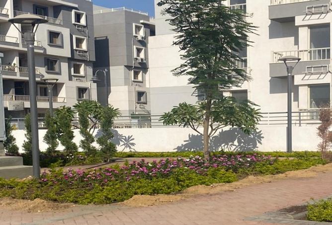 8364839 - صورة العقار 3