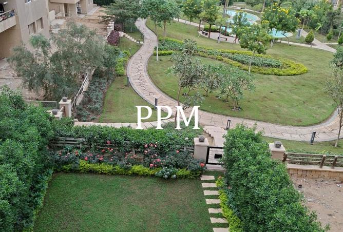 8365081 - Property Image 3