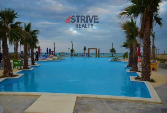 8365661 - Property Image 3