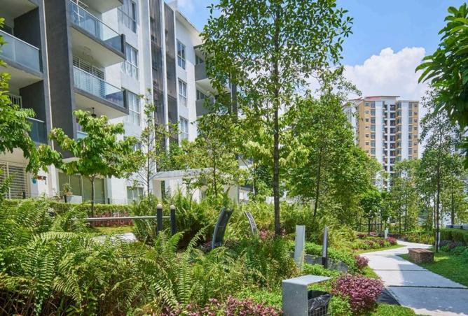 8380222 - Property Image 3