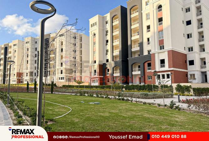 8367043 - Property Image 3