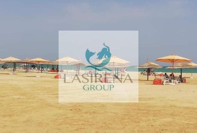 8367937 - Property Image 2