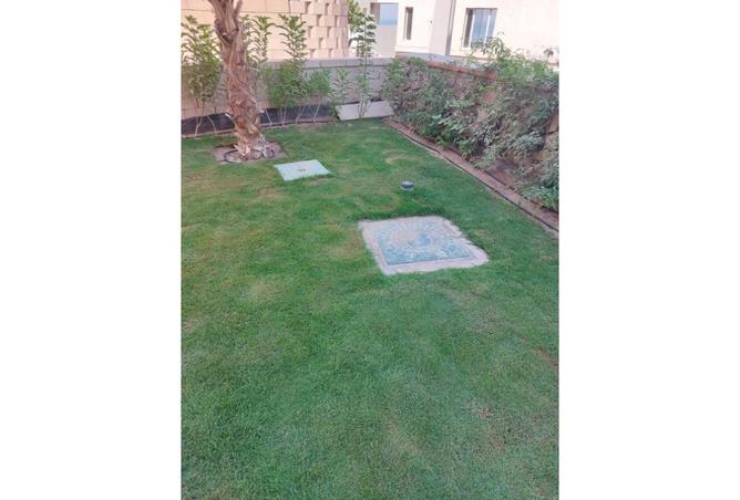 8367610 - Property Image 3