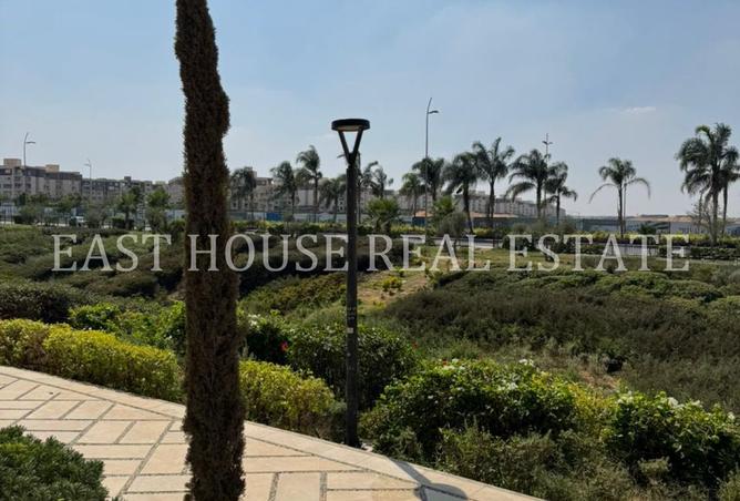 8367705 - صورة العقار 2