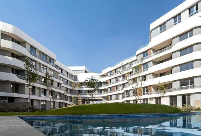 8368267 - Property Image 3