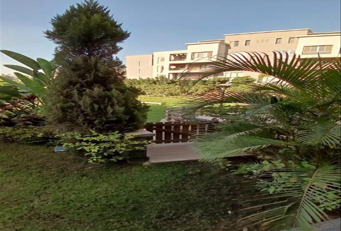 8369165 - Property Main Image