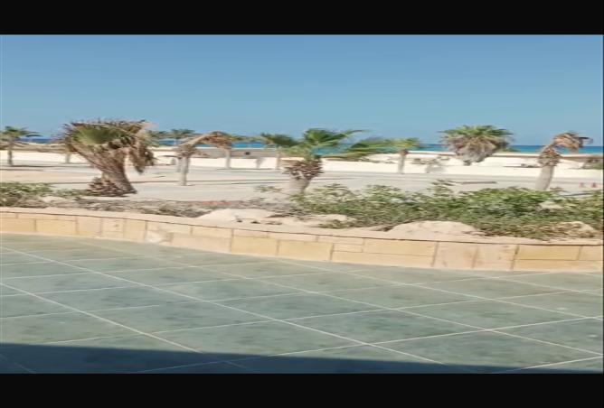 8369287 - صورة العقار 3