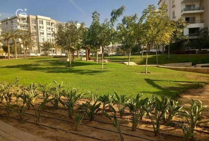 8369493 - صورة العقار 3