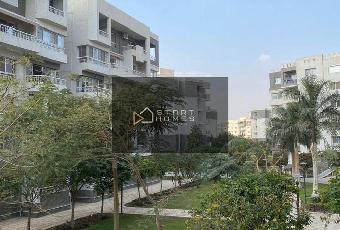 8369960 - صورة العقار 3