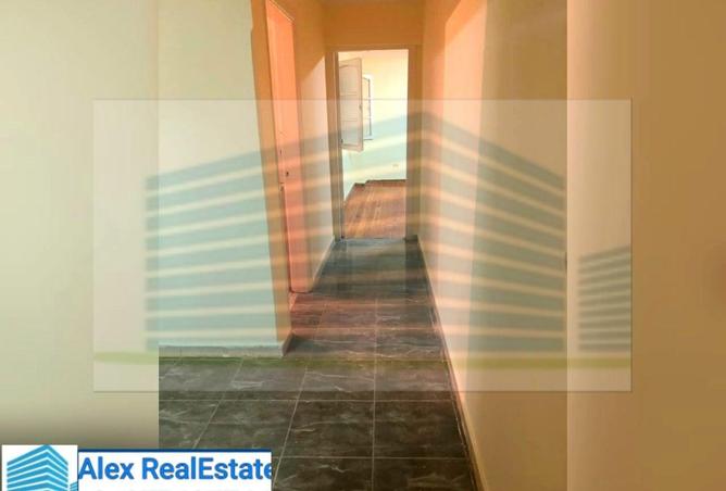 8370402 - Property Image 3