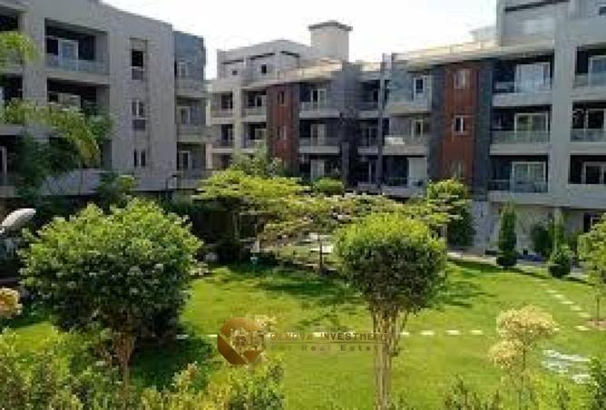 8370891 - Property Image 3