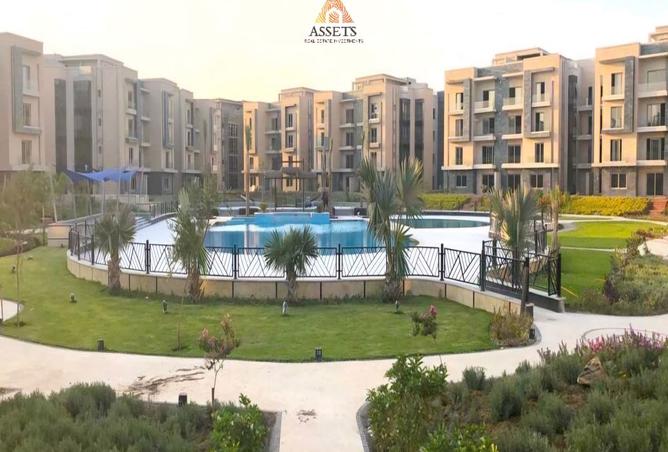 8371134 - Property Image 2