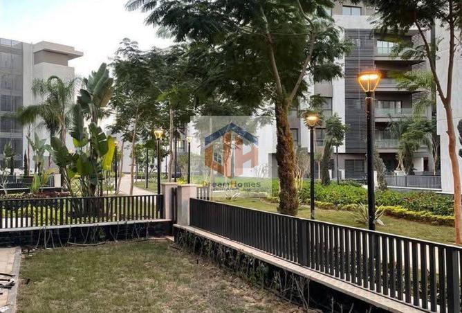 8371217 - Property Image 3