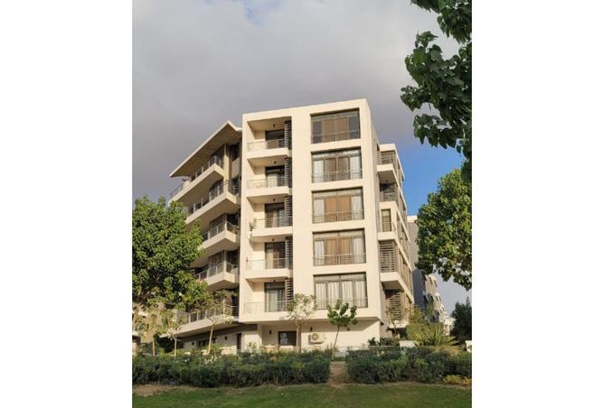 8371556 - Property Image 2