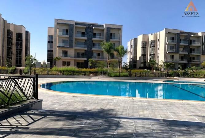 8371633 - Property Image 3