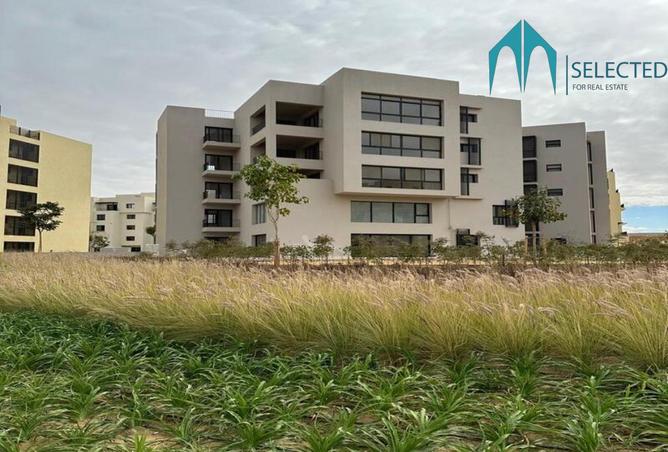 8372087 - Property Image 3