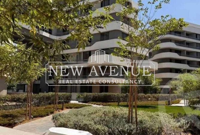 8372403 - Property Image 3