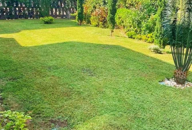 8372557 - Property Image 2