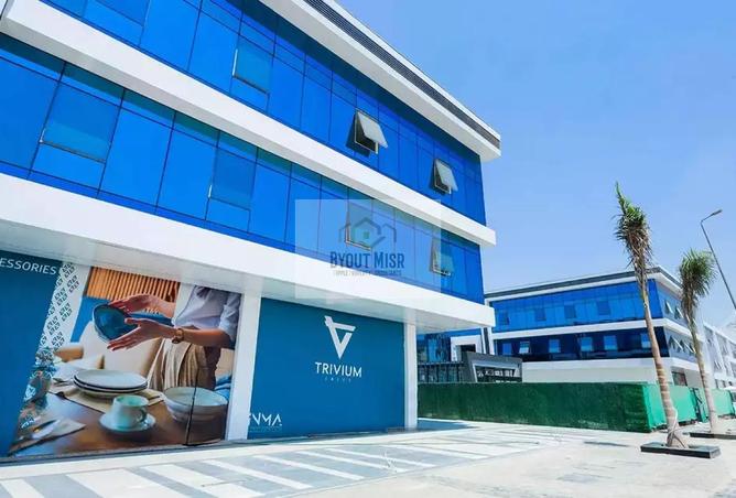 8372583 - Property Image 3