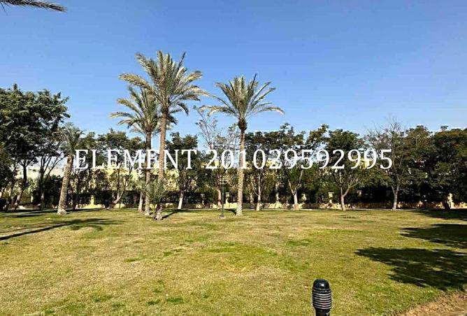 8402306 - صورة العقار 2