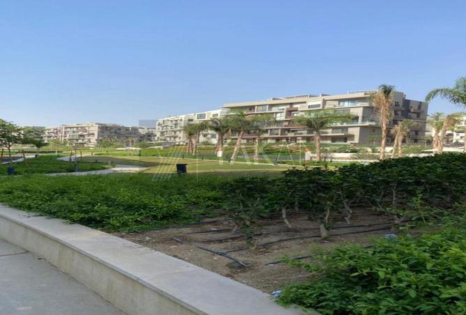 8373360 - Property Image 3