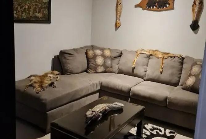 8373782 - Property Image 3