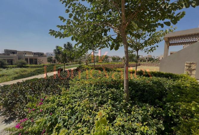 8374403 - Property Image 3