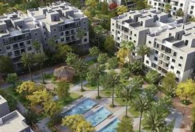 54759027 - Property Image 3