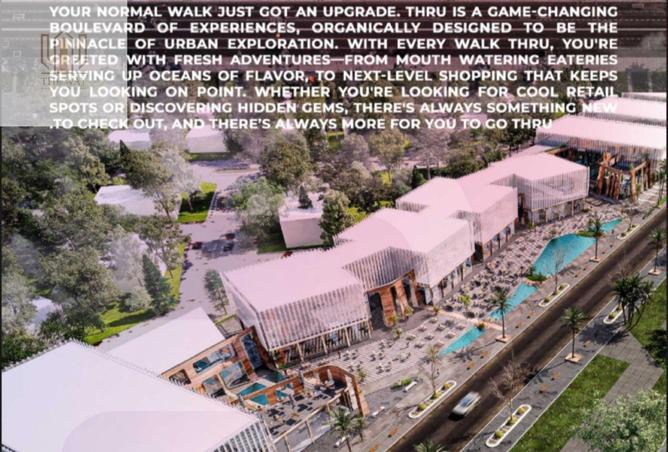 8381815 - Property Image 2