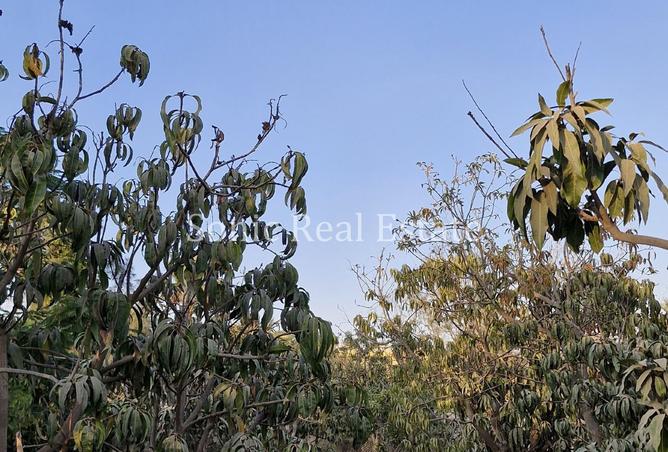 8374556 - الصورة الرئيسية للعقار