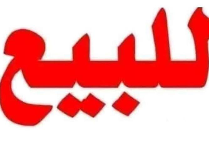 8374649 - صورة العقار 3