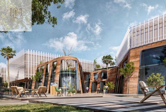 8380348 - Property Image 3