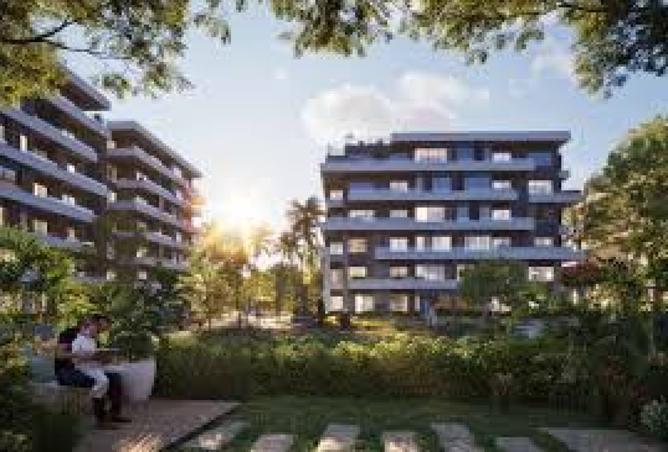 8374894 - Property Image 3