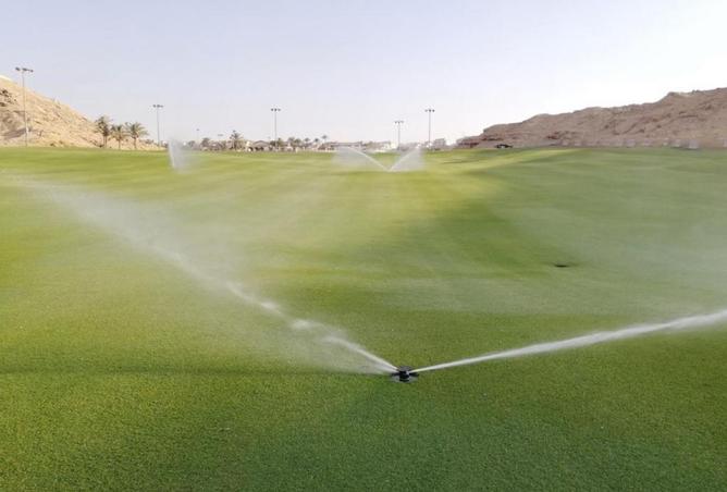 8375189 - Property Image 3