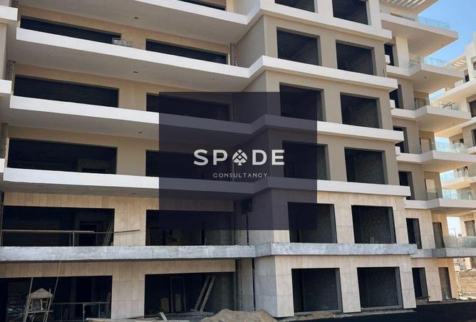 8377375 - Property Image 2