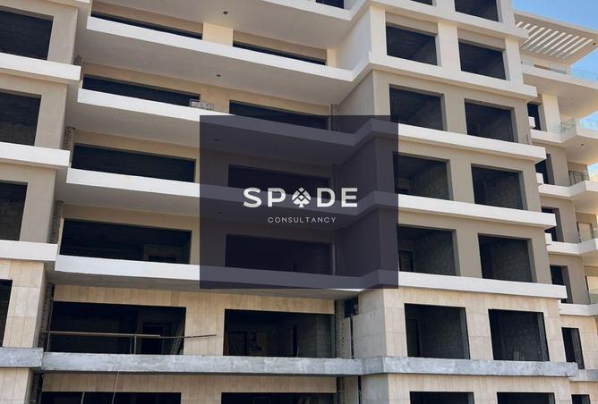 8377375 - Property Image 3