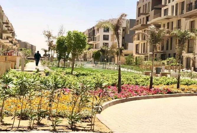 8392216 - الصورة الرئيسية للعقار