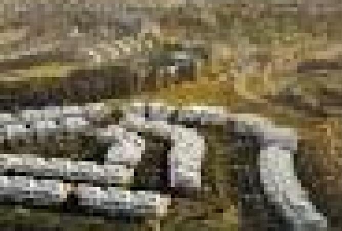 8375952 - Property Image 3